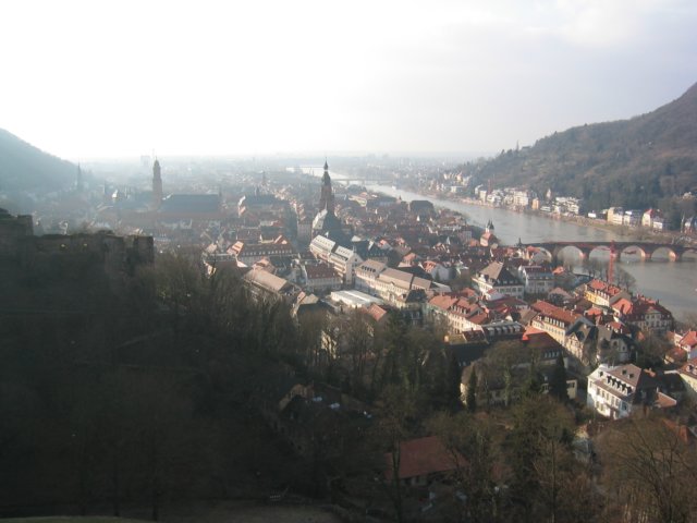 _neckar_valley.jpg