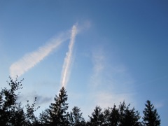 Jet contrails merge in the sky