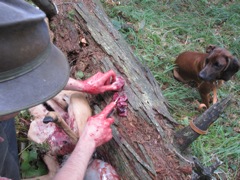 Doggie treat!  She got the heart and liver as a treat for tracking the deer.