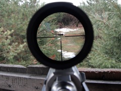 The view through my Weaver 2.5-10x56 scope.   That is the reh on the ground.  It gives you an idea of a view through the scope of a hunter.  

The scope is set to around 5 or 6 power, which is typical for stand hunting at these ranges.

 This is the so-called 