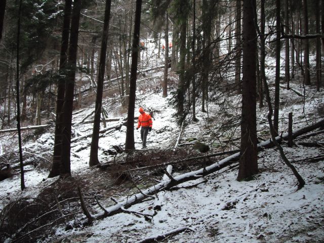 One of the drivers walking through the woods