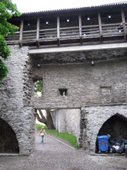 Covered battlements
