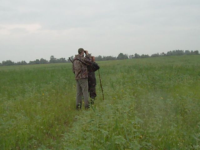 Scanning for the bock