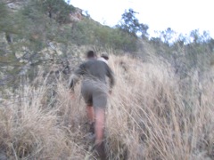 Martin, Matt and I head up the hill to find the baboon.  We found a good blood trail, but ran out of light before we found the carcass.