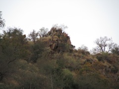 I shot a baboon off of the left side of this boulder mass at the top of a <i>kopje</i> or hill.  I shot off shooting sticks at a range of 280 yards.  The baboon dropped to the shot.
