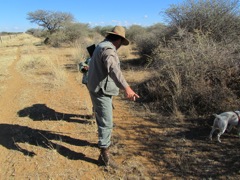 Corney and Martin look for tracks of the perpetrators. They then tip this information to the Police Anti-Poaching team.
