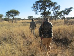 Spotting another group of Oryx, we hop off, Cornie in the lead, Dale with rifle, to pursue the herd to see if there is a good shootable bull in there.