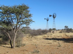 Without windmills and waterwells, human habitation, to say nothing of many animal species, would not be possible in Namibia.