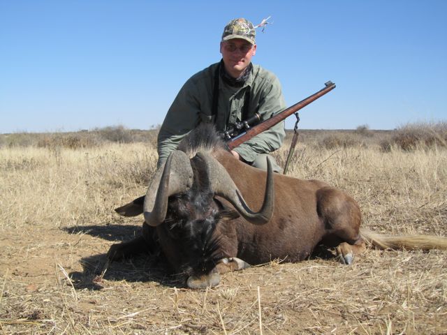A really nice, old, superior Black Wildebeest (Gnu).  We stalked him and then had to wait for several hours for him to move.  I took him at 165 yards