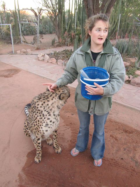 Farmer's daughter and her cheetah