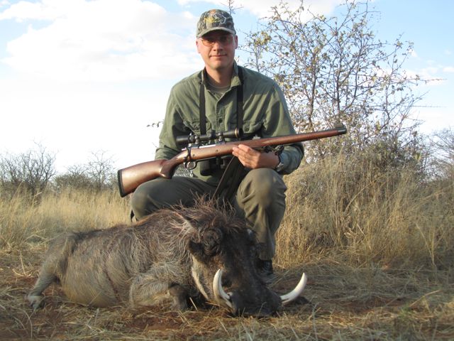 Here is an older, mature male Warthog, I took him at 90 yards, after evaluating his tusks to ensure he was an old male, and neither a young animal with breeding potential, or a female.

I am using a CZ550FS in 9,3x62 with 250 grain Nosler Accubonds at 2500fps.