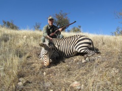 I took this mountain zebra at 280 yards across a valley.  He is another mature stallion, and will be a great carpet for my living room.  

This shot, and the baboon I took at similar range, should dispel the idea that a 9,3x62 is a short range cartridge.