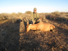 A grand old Hartebeest.  This was an excellent stalk that took several hours to get within 90 yards of him under the watchful eye of several females.  Our patience led to this gold-medal animal.