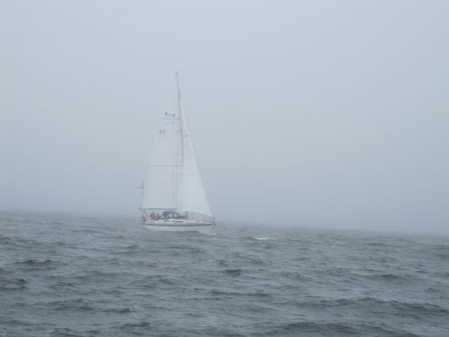 We ran through a fleet of sailboats in the fog on our return trip.