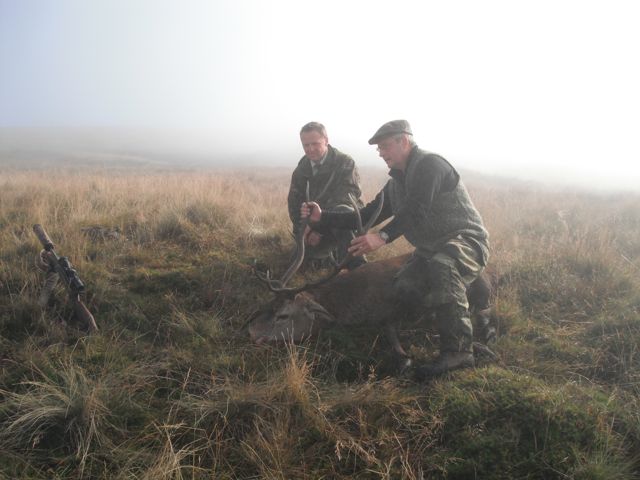 A happy first kill of the hunt, Bernd taking the honors.  They crept up to within 50 yards when Bernd took the shot as the stag stood up and loomed in the fog.