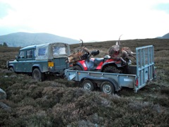Cliff loaded up the quad with our stags