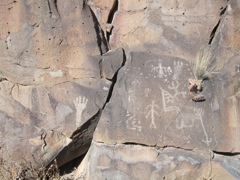 After a great morning, we drove around a bit and saw the sights, including some great ranchland and these indian petroglyphs