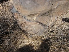 Another petroglyph