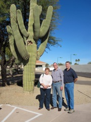 Yes, Saguaro cactus live in the city, too.