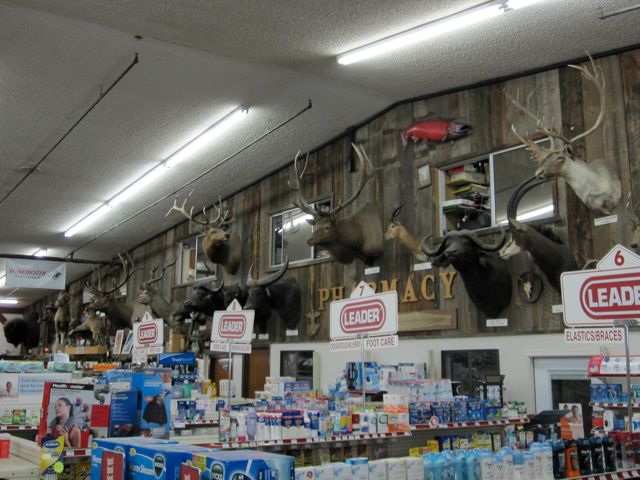 Inside is an extensively stocked firearms, ammo. fishing and optics counter, with glorious trophies on the wall from around the world.