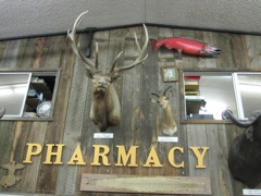 What a great elk mount!