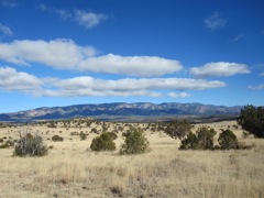 The wilds of New Mexico